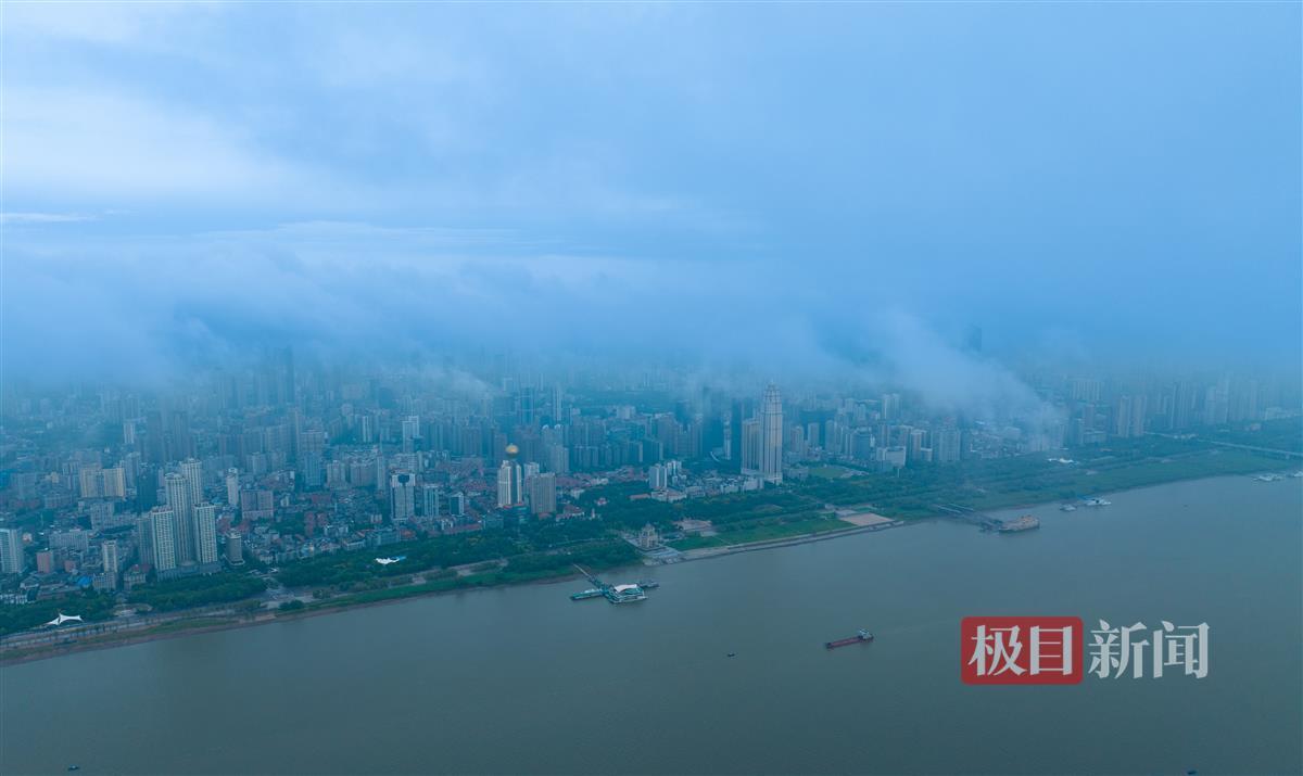 大丰收网站